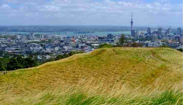 NZ net migration